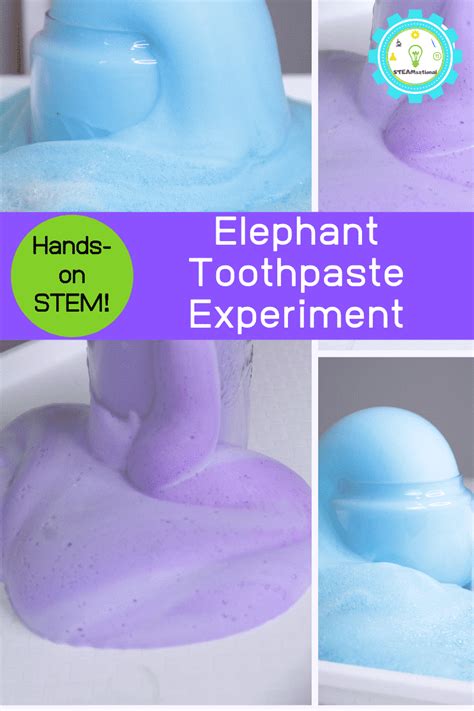elephant toothpaste conclusion|Elephant Toothpaste Explosion Experiment.